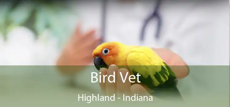 Bird Vet Highland - Indiana