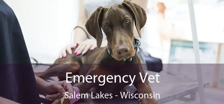 Emergency Vet Salem Lakes - Wisconsin