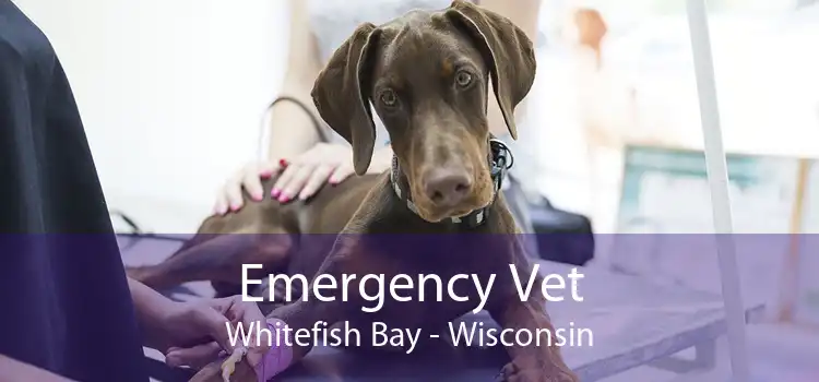 Emergency Vet Whitefish Bay - Wisconsin